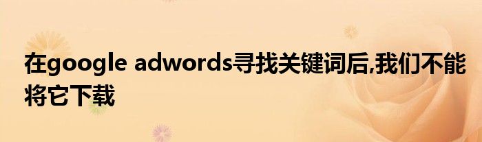 在google adwords寻找关键词后,我们不能将它下载