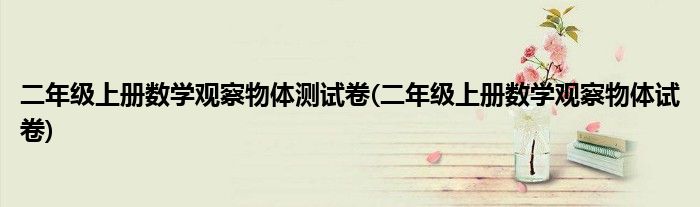 二年级上册数学观察物体测试卷(二年级上册数学观察物体试卷)