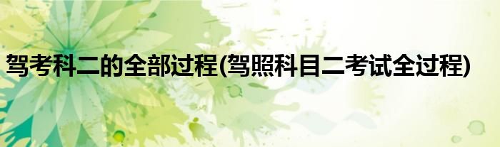 驾考科二的全部过程(驾照科目二考试全过程)
