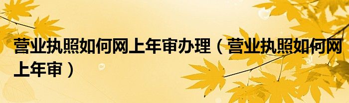 营业执照如何网上年审办理（营业执照如何网上年审）