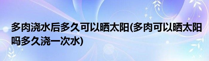 多肉浇水后多久可以晒太阳(多肉可以晒太阳吗多久浇一次水)