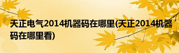 天正电气2014机器码在哪里(天正2014机器码在哪里看)