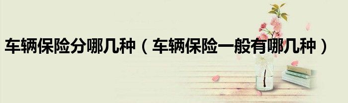 车辆保险分哪几种（车辆保险一般有哪几种）