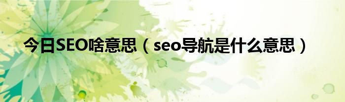 今日SEO啥意思（seo导航是什么意思）