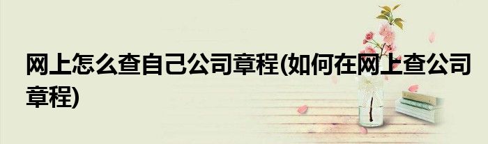 网上怎么查自己公司章程(如何在网上查公司章程)