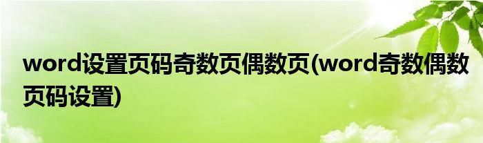 word设置页码奇数页偶数页(word奇数偶数页码设置)