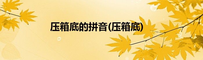 压箱底的拼音(压箱底)