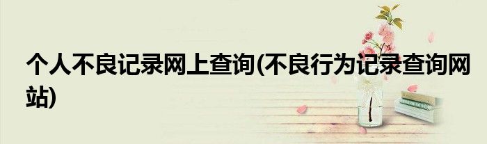 个人不良记录网上查询(不良行为记录查询网站)
