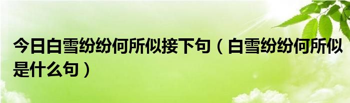 今日白雪纷纷何所似接下句（白雪纷纷何所似是什么句）