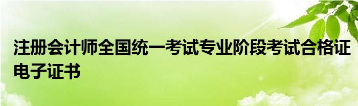 注册会计师全国统一考试专业阶段考试合格证电子证书
