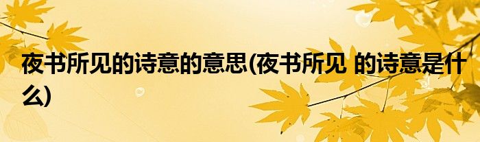 夜书所见的诗意的意思(夜书所见 的诗意是什么)