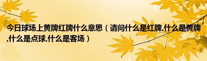 今日球场上黄牌红牌什么意思（请问什么是红牌,什么是黄牌,什么是点球,什么是客场）