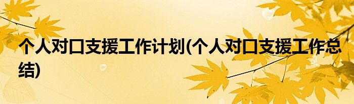 个人对口支援工作计划(个人对口支援工作总结)