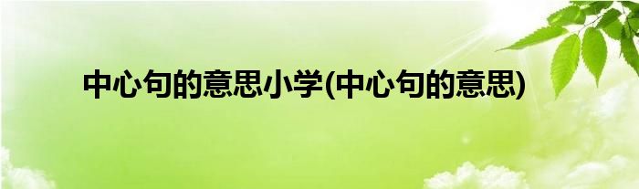 中心句的意思小学(中心句的意思)