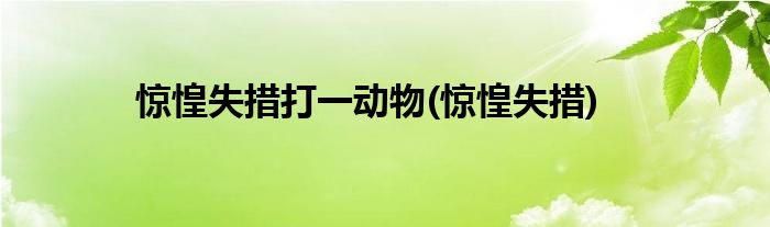 惊惶失措打一动物(惊惶失措)