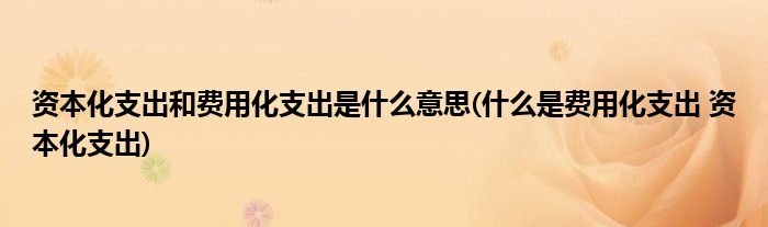 资本化支出和费用化支出是什么意思(什么是费用化支出 资本化支出)