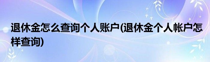 退休金怎么查询个人账户(退休金个人帐户怎样查询)