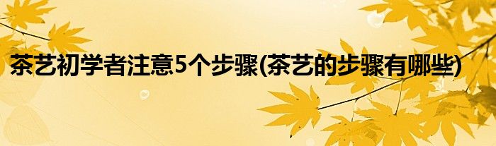 茶艺初学者注意5个步骤(茶艺的步骤有哪些)