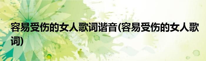 容易受伤的女人歌词谐音(容易受伤的女人歌词)