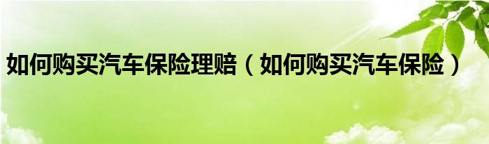 如何购买汽车保险理赔（如何购买汽车保险）