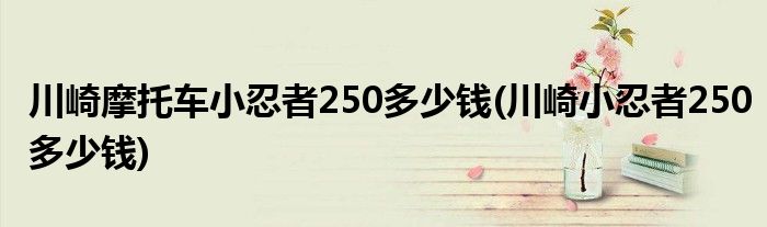 川崎摩托车小忍者250多少钱(川崎小忍者250多少钱)