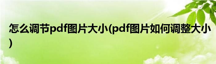 怎么调节pdf图片大小(pdf图片如何调整大小)