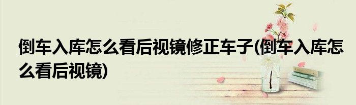 倒车入库怎么看后视镜修正车子(倒车入库怎么看后视镜)