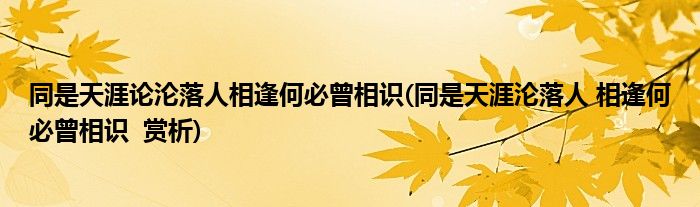 同是天涯论沦落人相逢何必曾相识(同是天涯沦落人 相逢何必曾相识  赏析)