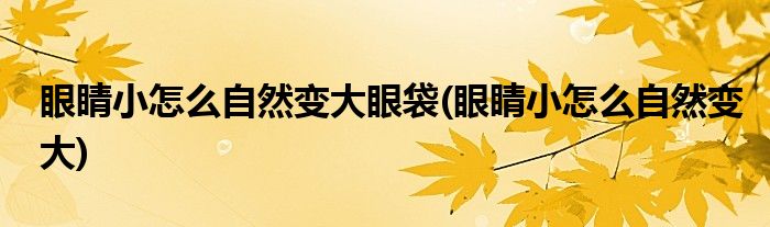 眼睛小怎么自然变大眼袋(眼睛小怎么自然变大)