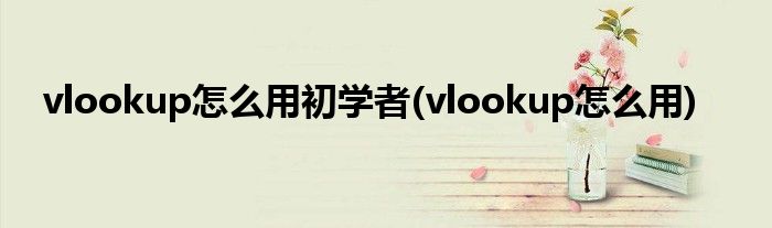vlookup怎么用初学者(vlookup怎么用)