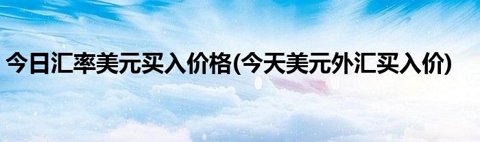 今日汇率美元买入价格(今天美元外汇买入价)