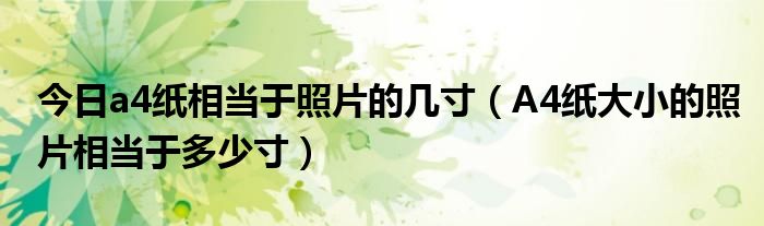 今日a4纸相当于照片的几寸（A4纸大小的照片相当于多少寸）