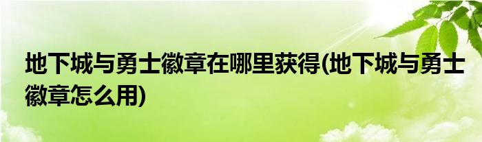 地下城与勇士徽章在哪里获得(地下城与勇士徽章怎么用)