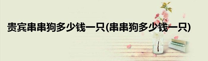 贵宾串串狗多少钱一只(串串狗多少钱一只)
