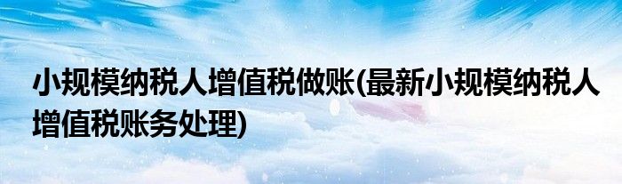 小规模纳税人增值税做账(最新小规模纳税人增值税账务处理)