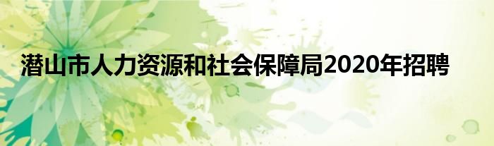 潜山市人力资源和社会保障局2020年招聘