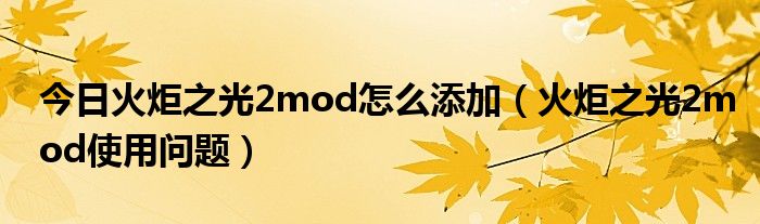 今日火炬之光2mod怎么添加（火炬之光2mod使用问题）