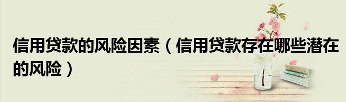 信用贷款的风险因素（信用贷款存在哪些潜在的风险）