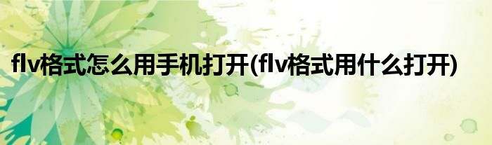 flv格式怎么用手机打开(flv格式用什么打开)