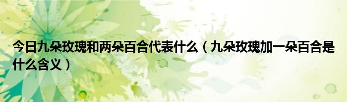 今日九朵玫瑰和两朵百合代表什么（九朵玫瑰加一朵百合是什么含义）