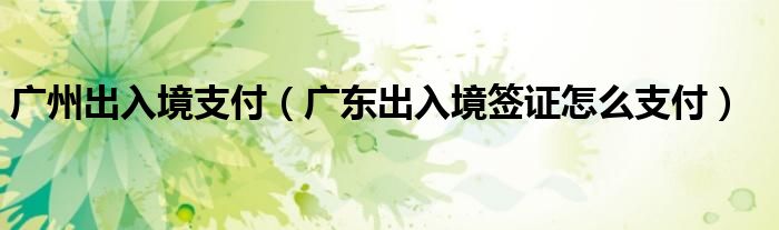 广州出入境支付（广东出入境签证怎么支付）