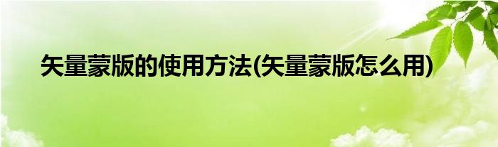矢量蒙版的使用方法(矢量蒙版怎么用)