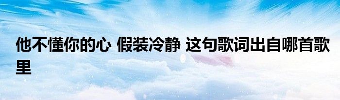 他不懂你的心 假装冷静 这句歌词出自哪首歌里