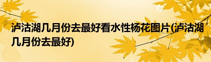 泸沽湖几月份去最好看水性杨花图片(泸沽湖几月份去最好)