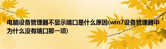 电脑设备管理器不显示端口是什么原因(win7设备管理器中为什么没有端口那一项)