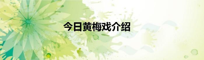今日黄梅戏介绍