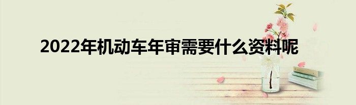 2022年机动车年审需要什么资料呢