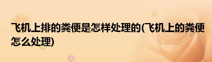 飞机上排的粪便是怎样处理的(飞机上的粪便怎么处理)
