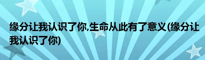 缘分让我认识了你,生命从此有了意义(缘分让我认识了你)