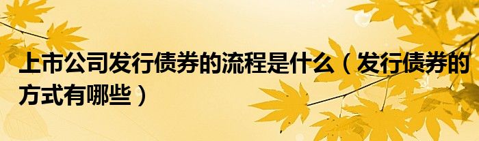 上市公司发行债券的流程是什么（发行债券的方式有哪些）
